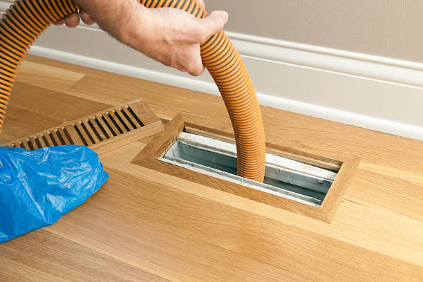 Best Air Duct Cleaning Company Near Me  in Siesta Key, FL